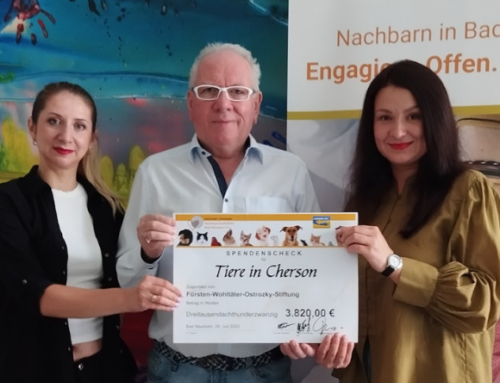 Spende für Tiere in Cherson