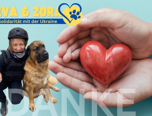 Über 6000 € Spenden für Eva & Zora